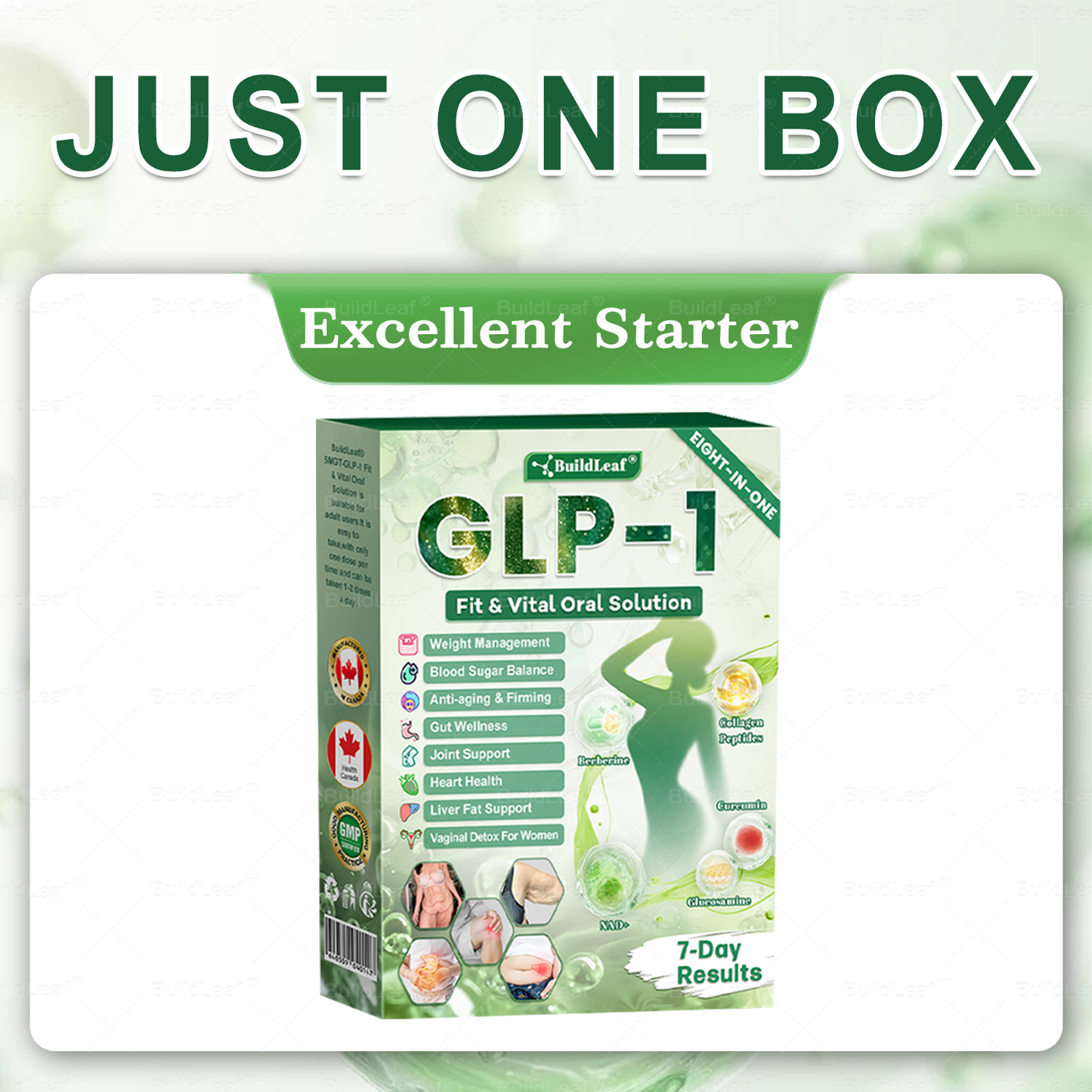 CA Magasin officiel | BuildLeaf® GLP-1 8-en-1 Solution orale Fit & Vital (Modifications visibles en 7 jours) ✅ Pour l'obésité, la santé cardiovasculaire, le diabète, l'apnée du sommeil, la santé intestinale, les problèmes articulaires et plus encore